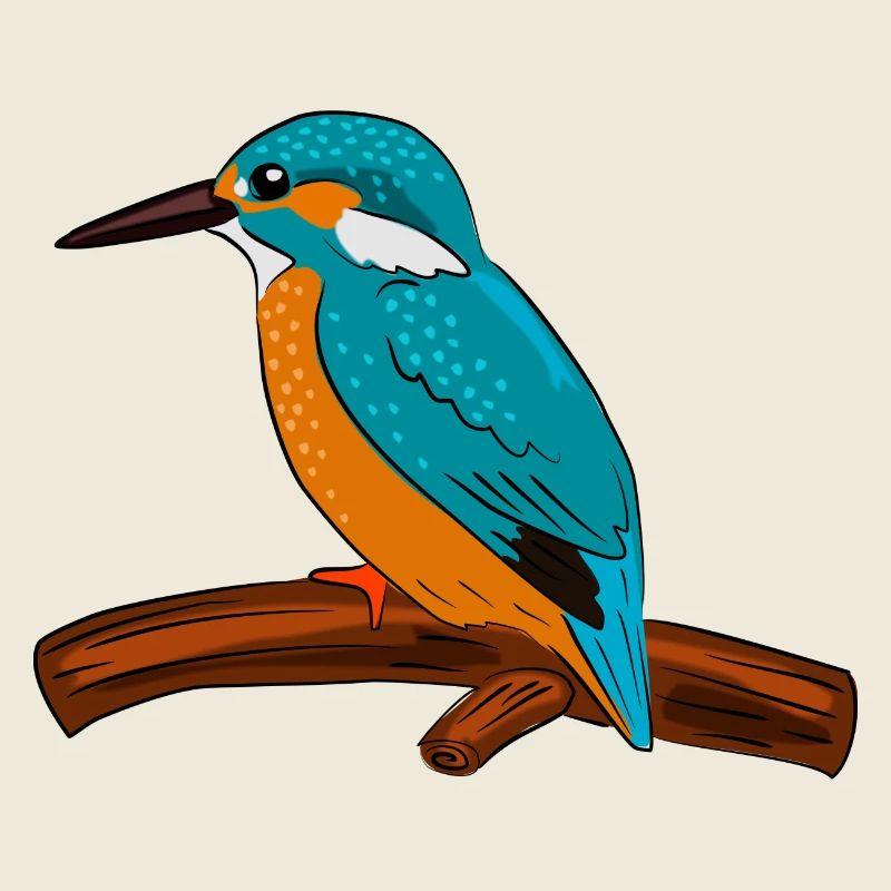 bird