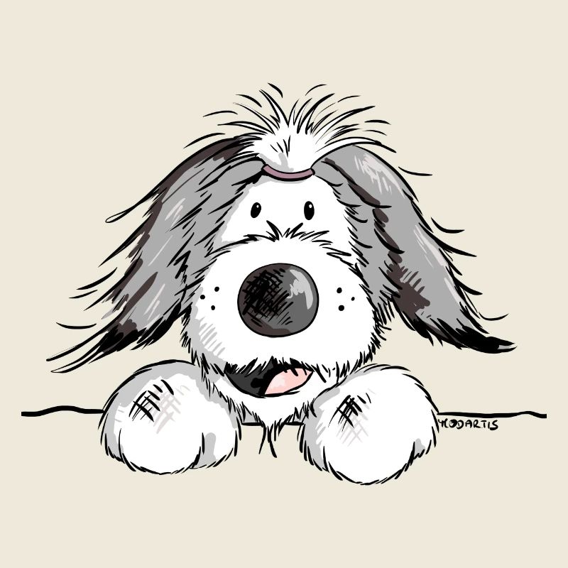 Happy Bearded Collie