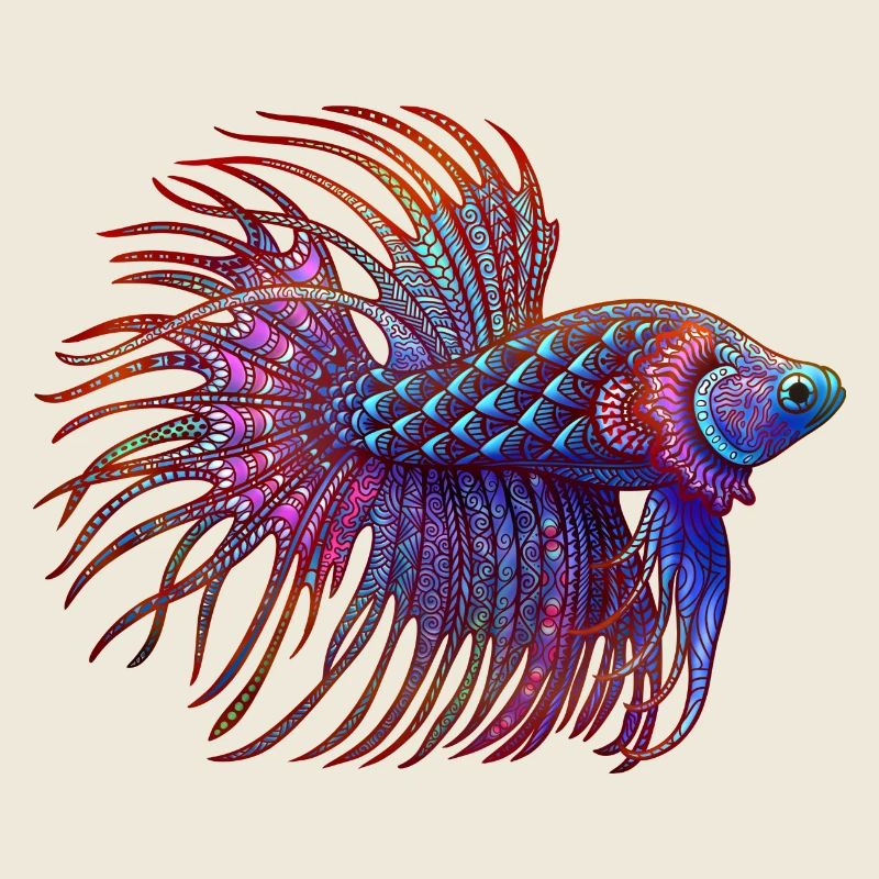 Betta Zentangle colour