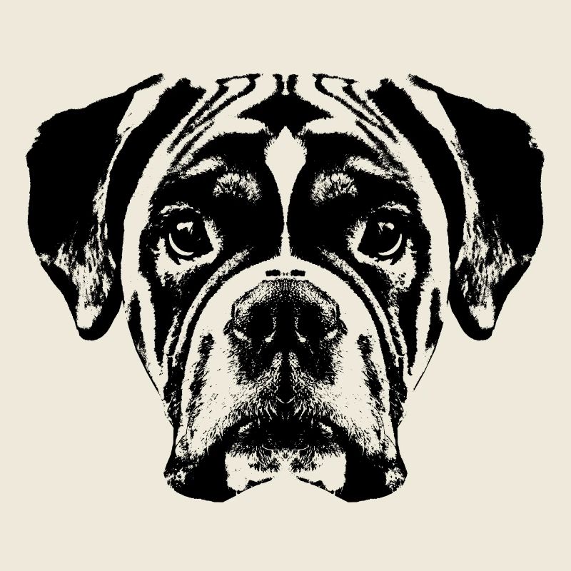 Boxer / Tête / Chien / Graphique