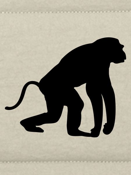 affe