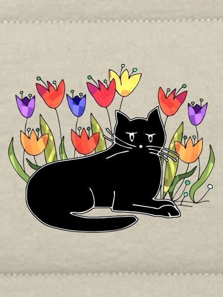 Katze