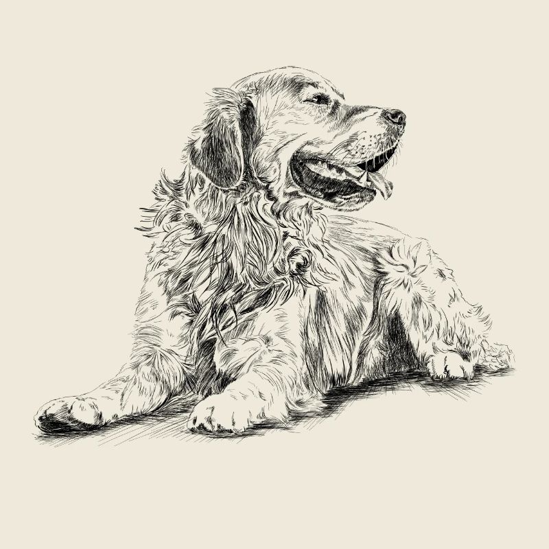 Retriever