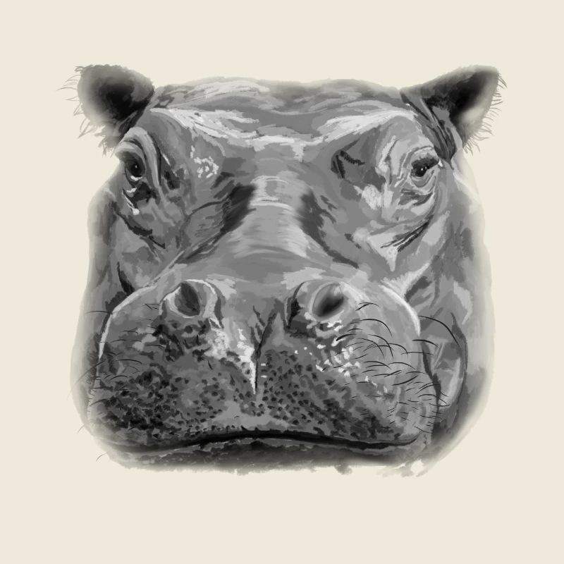 hippo