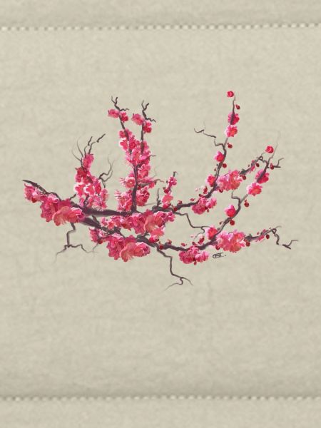 sakura