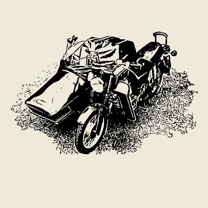 MZ Sidecar 250