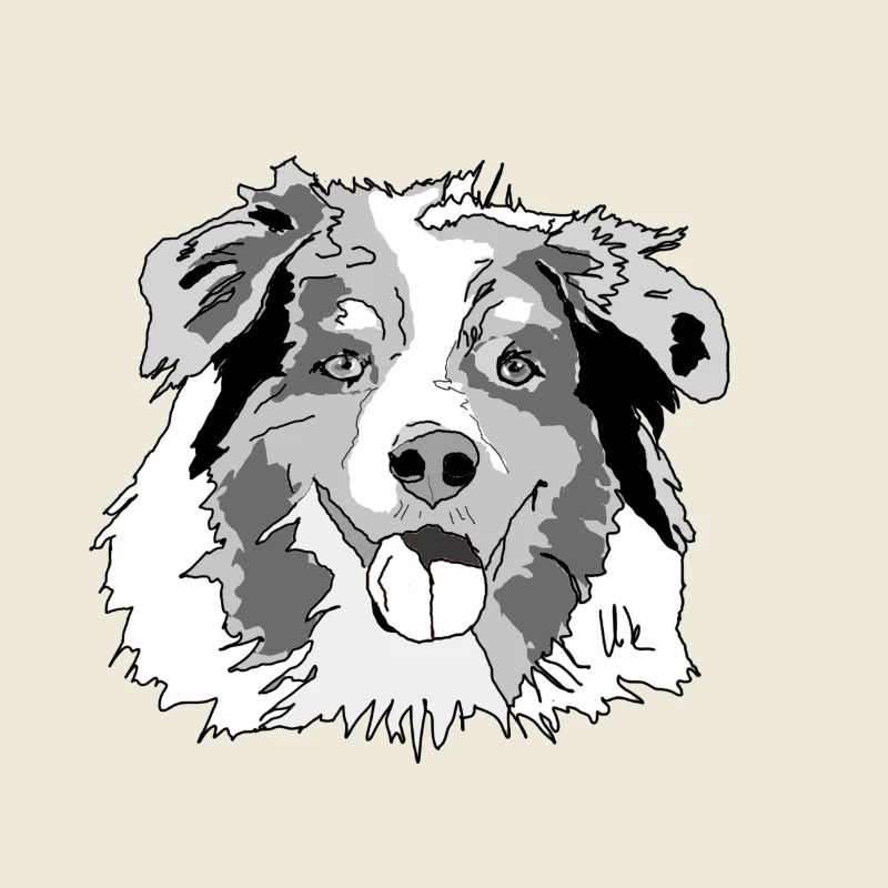 Australian Shepherd