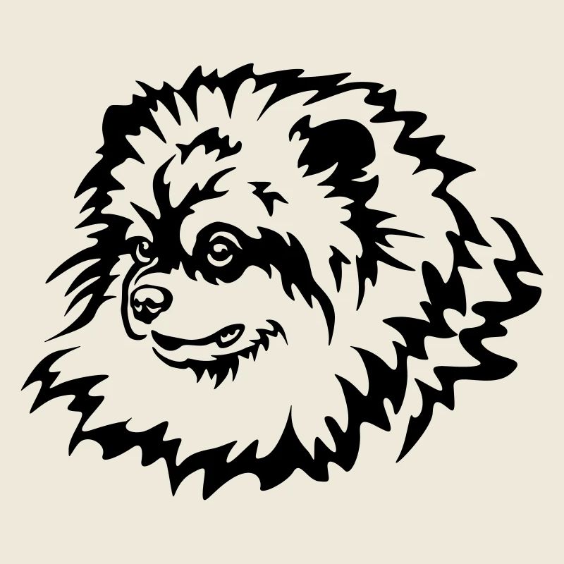 Miniature Spitz Head