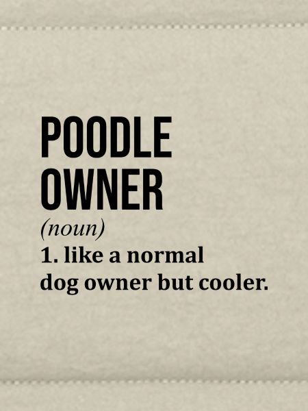Pudel-Pudel-Pudel