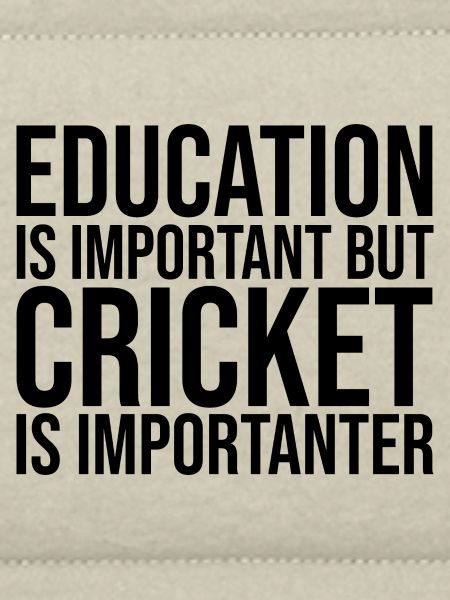Cricket Cricket Cricket