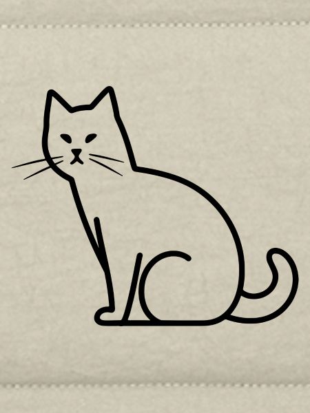 Cat Drawing