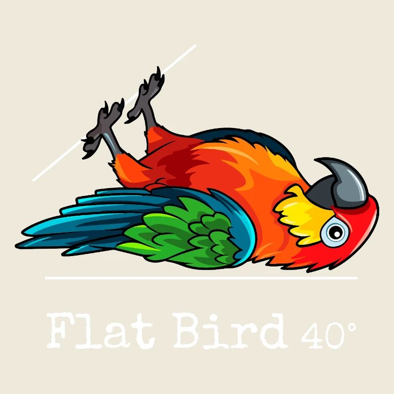 Flat Bird à 40 degrés