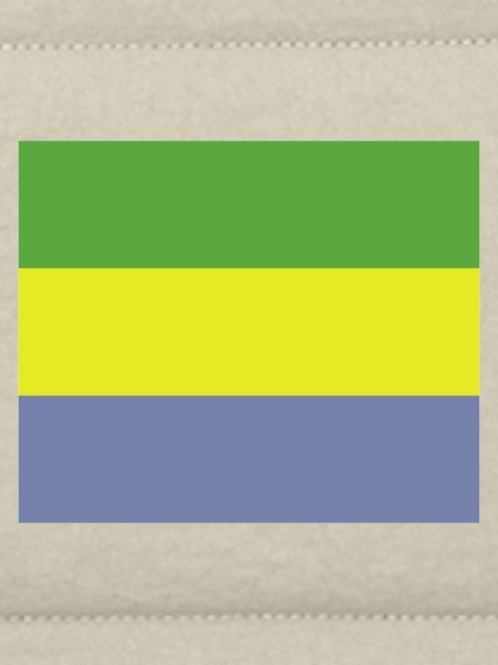 Gabon flag