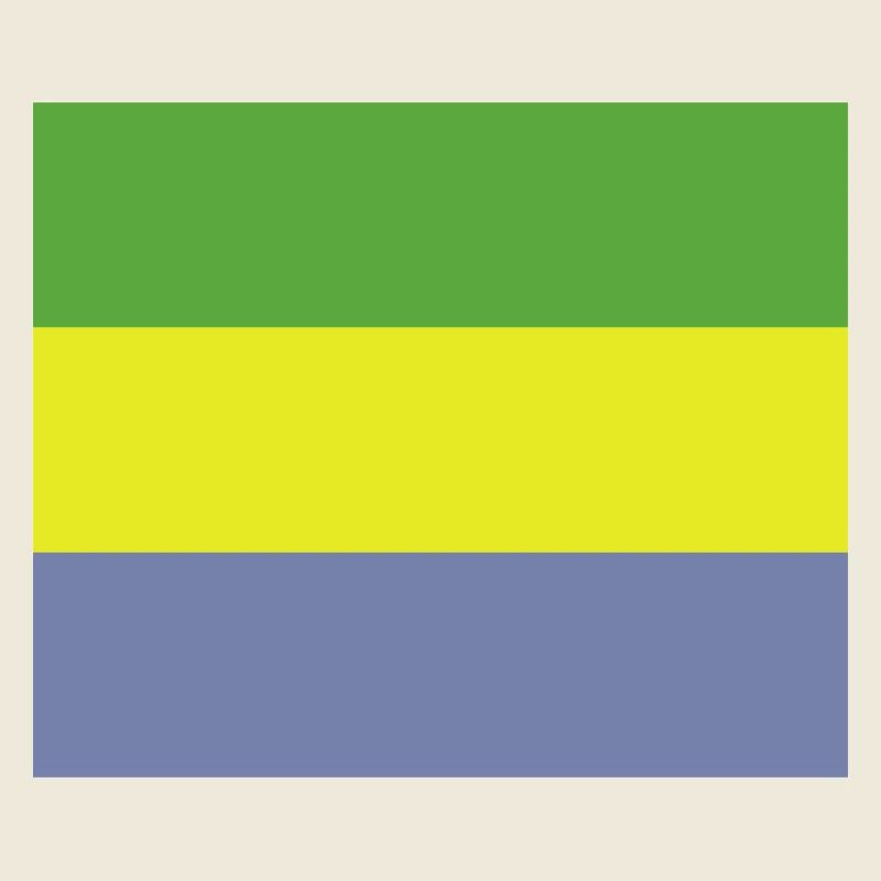 Drapeau gabonais