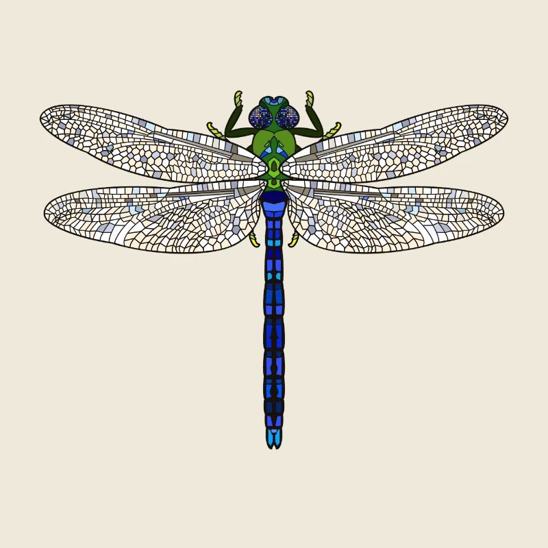King dragonfly