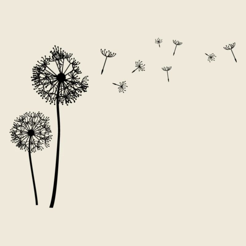 Schöne Pusteblume Löwenzahn Dandelion