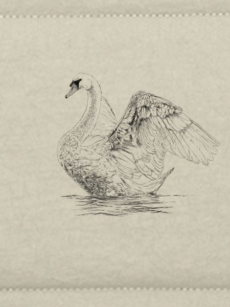 Schwan