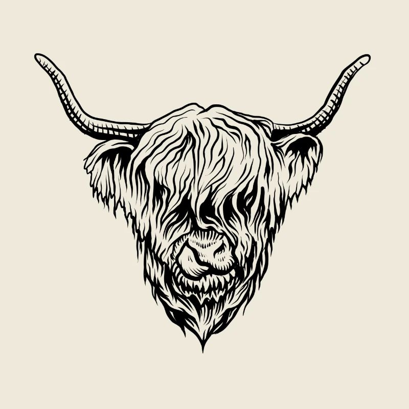 Bovins des Highlands