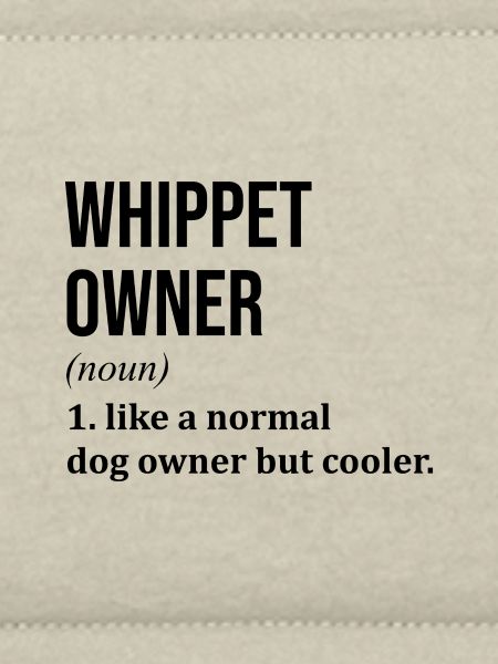Whippet Whippet Whippet