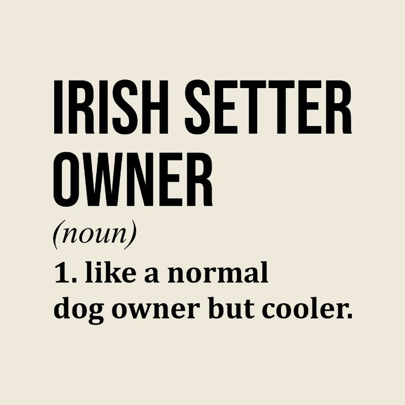 Irischer Setter