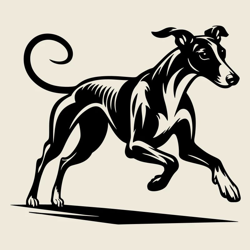 Galgo