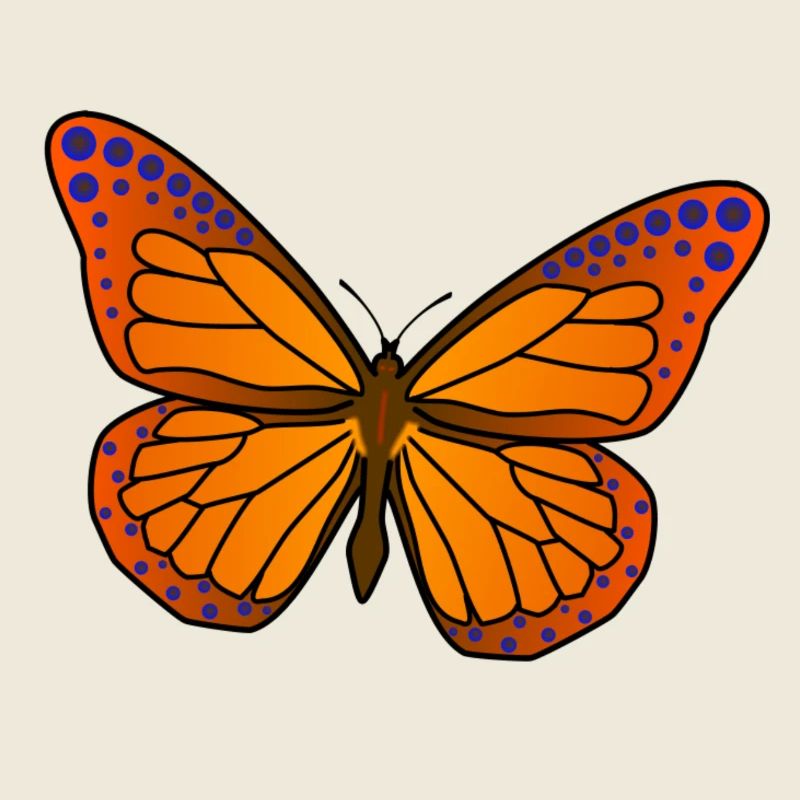 Illustration d’ailes de papillon vives