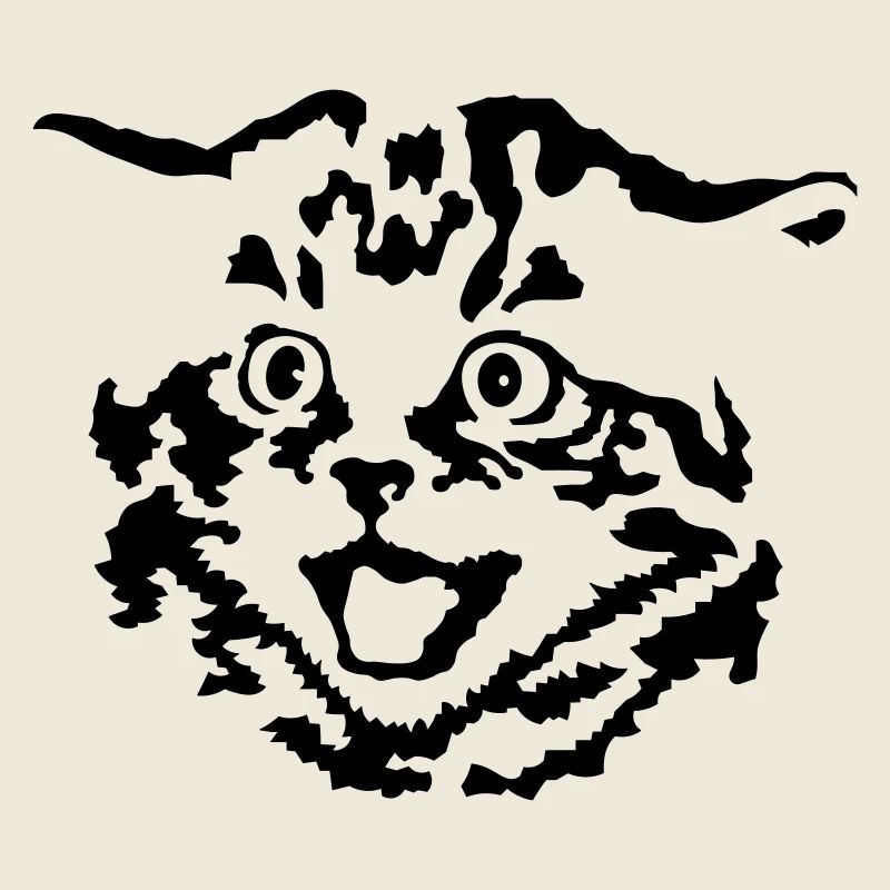 Kitten