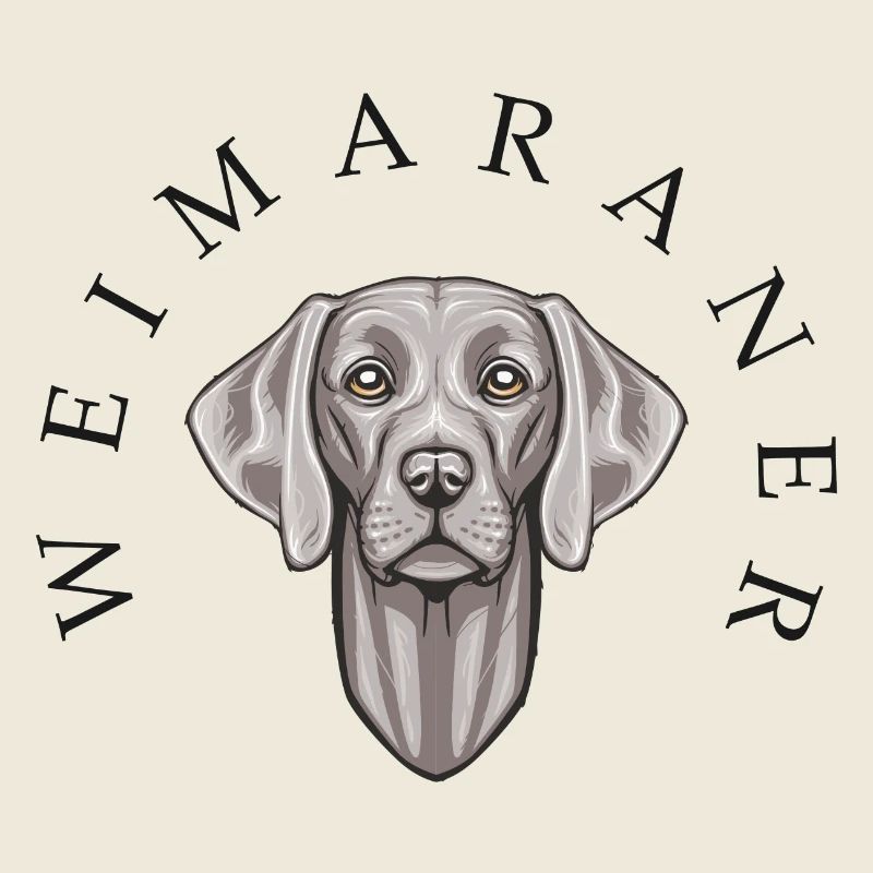 Weimaraner