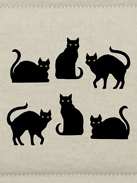 Cats - Symbol of Witchcraft