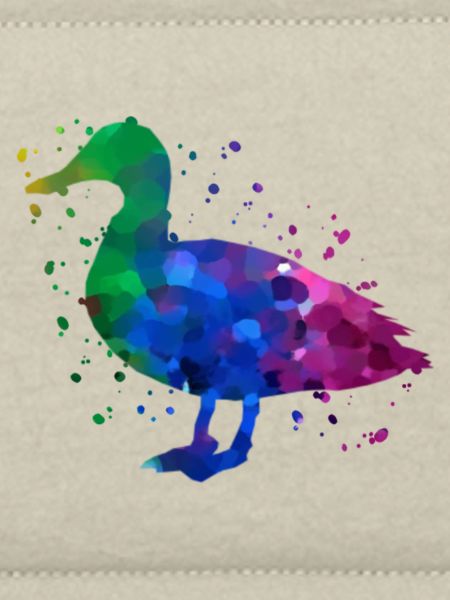 Canard
