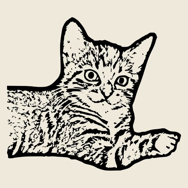 Katze schwarz Katzenbaby Kätzchen 