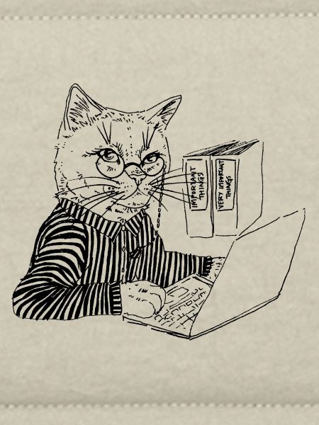 OFFICE KITTY