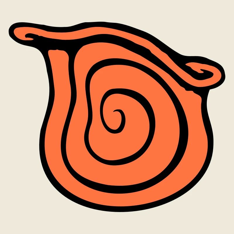 coquille d’escargot escargot insecte maison spirale cool