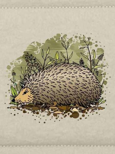 hedgehog