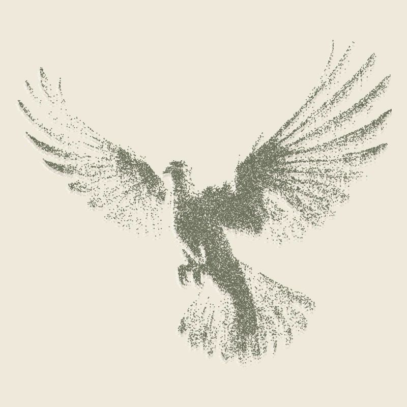 Taube | Heilig-Geist-Hemd | Christliches Symbol