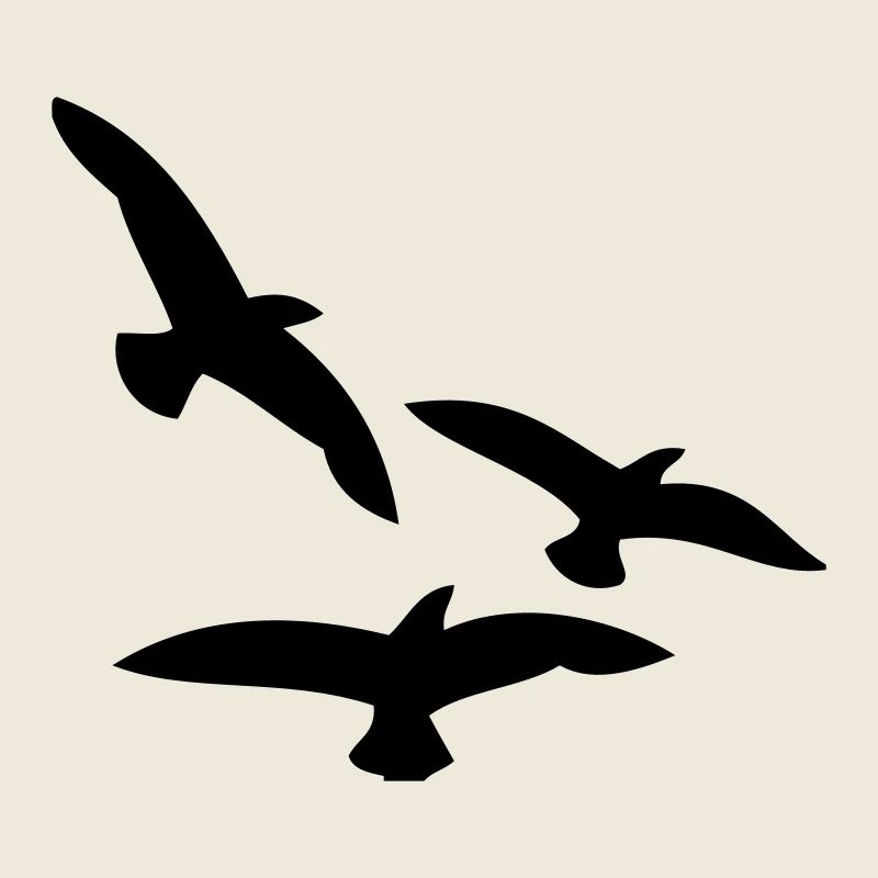 Oiseaux