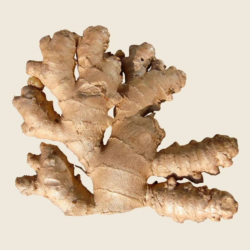 Ginger