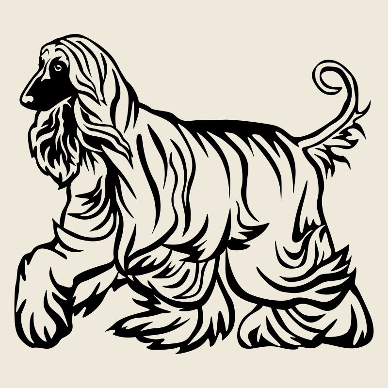 Afghan