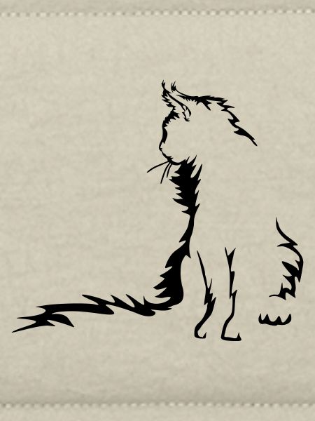 Maine Coon Cat