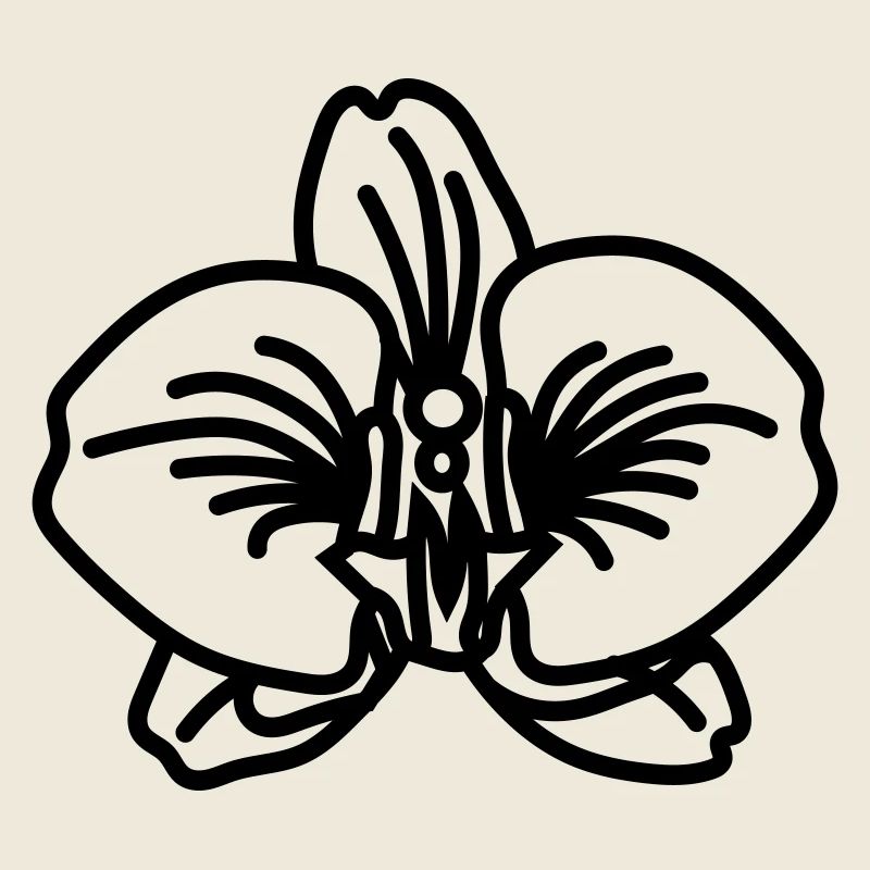 orchid