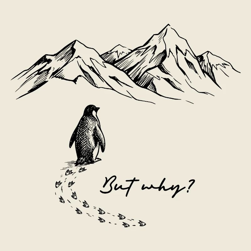 Mais pourquoi ? Penguin Meme Antarctica Neige Trace Glace