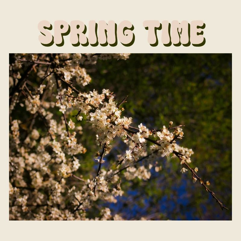 Spring Time