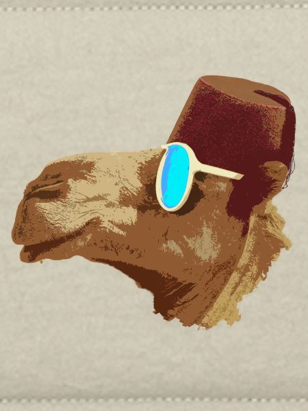 Camel Cool
