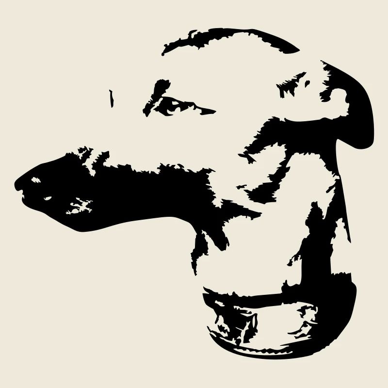 Whippet head