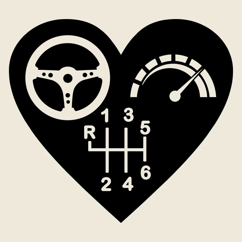 Gearbox 6 speed heart