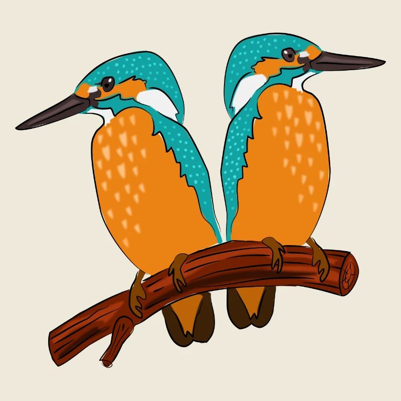 Couple de martins-pêcheurs