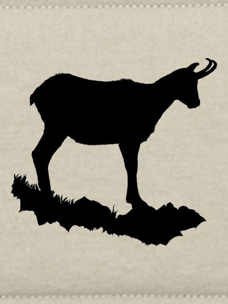 Gämse