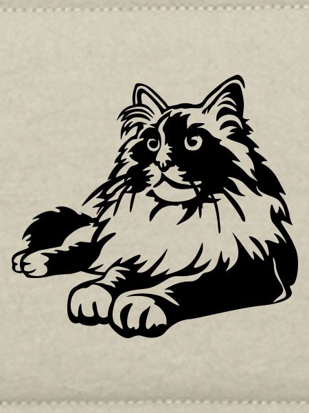 Ragdoll Katze