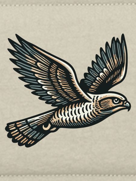 Hawk