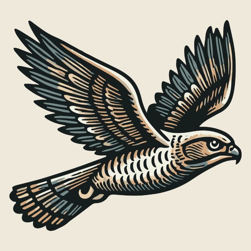 Hawk